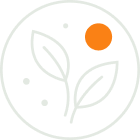 Curadoria pensada para o seu prato